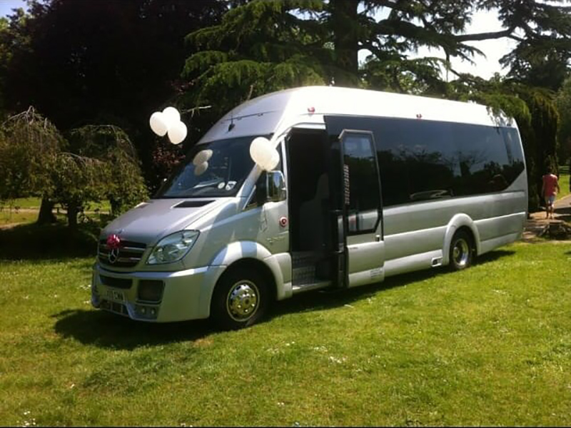 A fleet of party buses ready for hire.